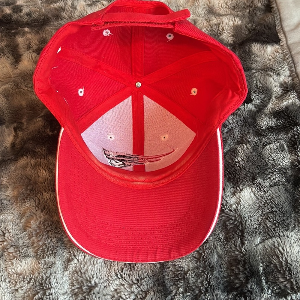 Patriots baseball cap - Picture 5 of 6
